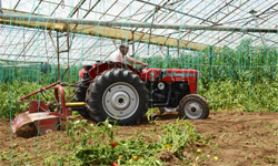 Hattat Classical 240 S Traktör