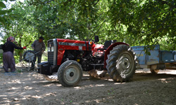 Hattat Classical 240 S Traktör